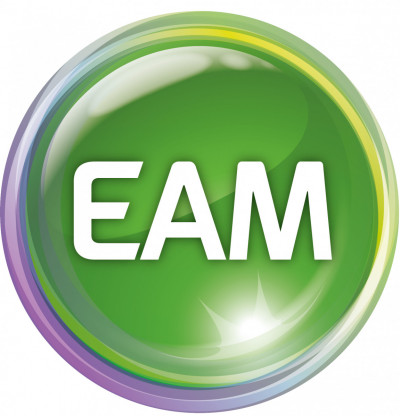Logo EAM Unternehmensgruppe Duales Studium Bachelor of Science – Wirtschaftsinformatik (m/w/d) für 2023